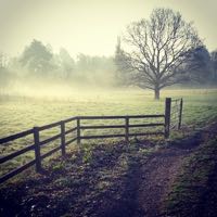 Autumn | Hertfordshire